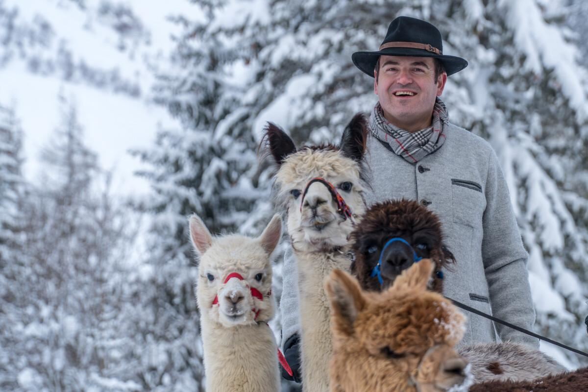 Winter Activities Alpaca walk