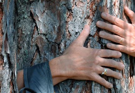  SHINRIN YOKU - forest bathing in Seefeld