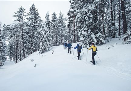 Advanced snowshoe hike