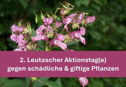 Aktionstage gegen Neophyten
