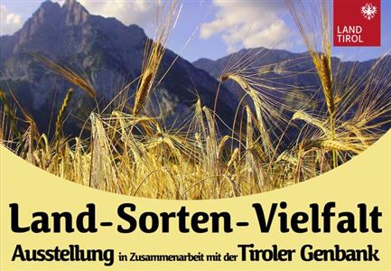 Ausstellung