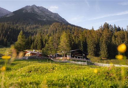 Gaistalalm