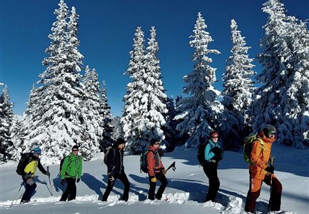 Eine Gruppe von Menschen wandert durch eine verschneite Landschaft. Hohe, schneebedeckte Bäume umgeben sie unter einem klaren blauen Himmel.
