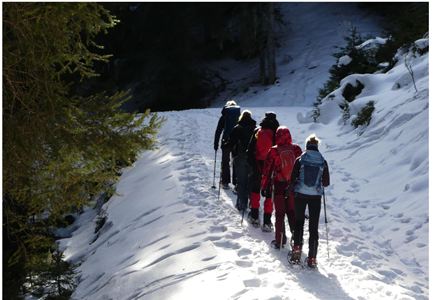 Eine Gruppe von Wanderern geht auf einem schneebedeckten Weg. Die Umgebung ist von Bäumen umgeben und das Sonnenlicht fällt auf die Szene.