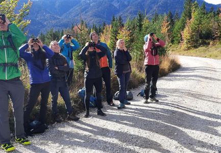 Eine Gruppe von Wanderern steht auf einem Schotterweg und fotografiert die Landschaft. Bäume in bunten Herbstfarben und Berge sind im Hintergrund sichtbar.