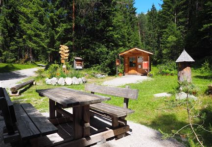 Una foresta tranquilla con un tronco di legno e una casa informativa. C'è una panchina da pic nic in legno e molta natura verde circostante.