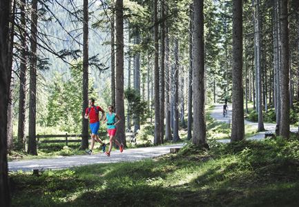 Laufen im Wald