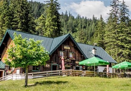 Ein gemütliches Berghaus umgeben von hohen Tannen. Vor dem Haus befinden sich grüne Sonnenschirme und eine einladende Terrasse.