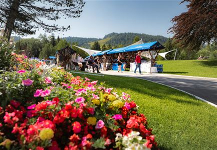 Ein schöner Markt mit bunten Blumen im Vordergrund. Im Hintergrund sind Stände und Menschen an einem sonnigen Tag in der Natur zu sehen.