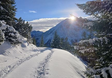 Wettersteinhuette