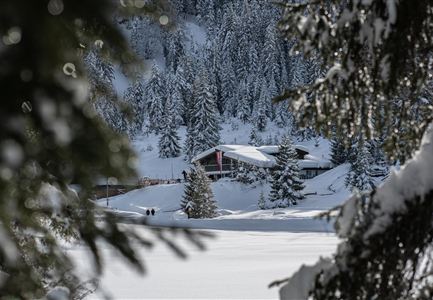Eine verschneite Landschaft mit einem modernen Gebäude und hohen, grünen Bäumen. Im Hintergrund sind schneebedeckte Berge und ein klarer Himmel zu sehen.