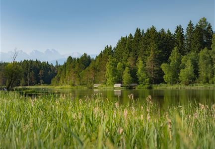 Wildsee im Sommer