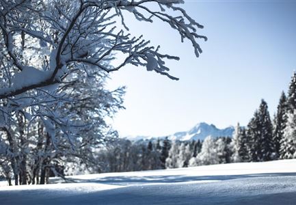 Winterlandschaft