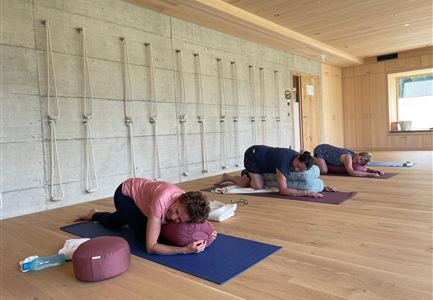 Eine ruhige Yoga-Sitzung in einem modernen Raum mit Holzfußboden. Drei Personen praktizieren entspannende Positionen mit Kissen zur Unterstützung.