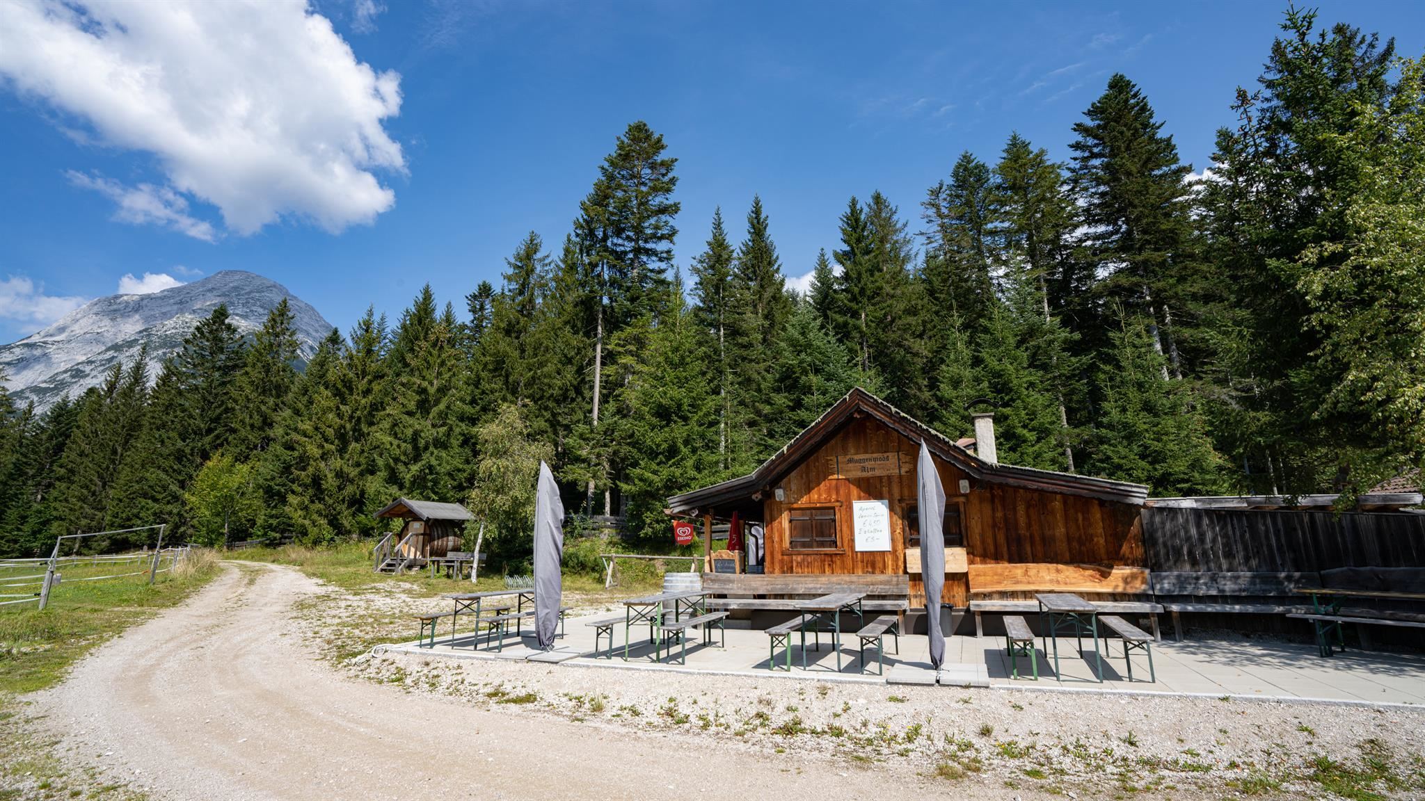 Muggenmoosalm