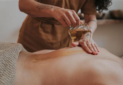 Artemisia Ayurveda