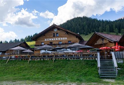 Ein traditionelles Holzhaus in den Bergen mit Außenbereich und Sonnenschirmen. Im Hintergrund sind grüne Wiesen und ein bewaldeter Hang zu sehen.