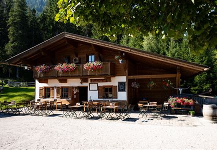 Bodenalm im Sommer 1