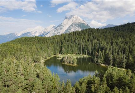 A tranquil landscape with a clear lake, surrounded by dense forests. In the background, majestic mountains rise beneath a blue sky.
