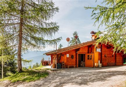 Eine charmante Berghütte aus Holz, umgeben von Tannenbäumen. Der Himmel ist klar und es gibt einen schönen Blick auf die Landschaft.