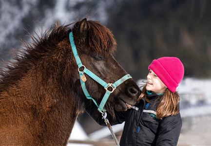 Riding stable & school Fjallaland Icelandic horses
