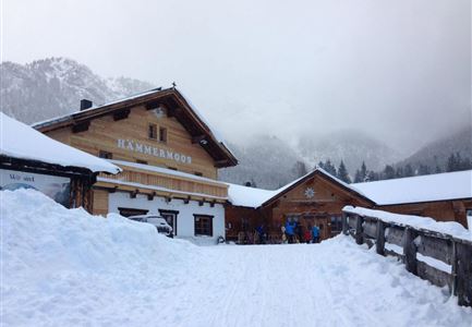 Eine gemütliche Berghütte in einer schneebedeckten Landschaft. Der Himmel ist bewölkt, und die Umgebung ist malerisch.