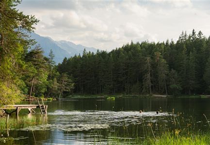 A calm lake surrounded by green trees and mountains in the background. Some people are swimming in the water.