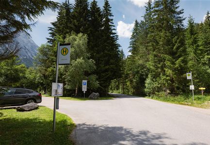 Eine ruhige Straße in einem Waldgebiet mit Bäumen und einem Buswartehäuschen. Ein parkiertes Auto ist ebenfalls sichtbar.