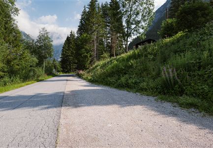 A quiet, unpaved road surrounded by lush greenery and tall trees. In the background, gentle hills and a clear sky can be seen.