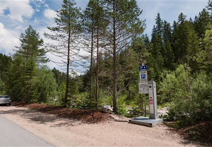 Ein ruhiger Parkplatz in der Natur, umgeben von hohen Bäumen. Der Himmel ist teilweise bewölkt und es gibt eine Straße in der Nähe.