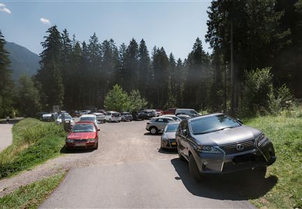 Ein geschäftiger Parkplatz in einem Waldgebiet mit mehreren Autos. Die Umgebung ist grün und von hohen Bäumen umgeben.
