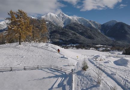 Pfarrhügel - Blick auf Seefelder Spitze