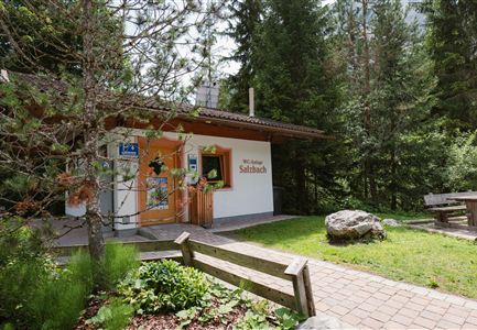 Eine kleine Hütte umgeben von hohen Bäumen und einer grünen Wiese. Der Eingang ist einladend und es gibt eine Sitzgelegenheit im Freien.