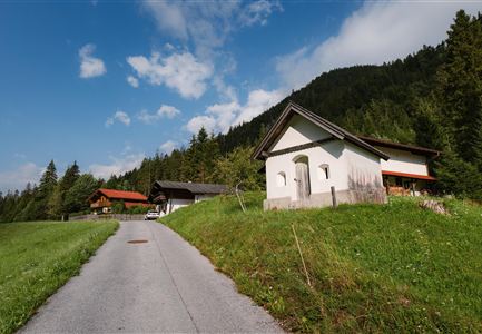 A quiet country road leads to traditional houses amidst green meadows and forests. The sky is blue with some clouds, creating a peaceful atmosphere.