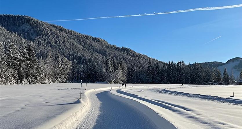 Een besneeuwd pad leidt door een pittoresk winterlandschap. Op de achtergrond zijn bomen en bergen te zien onder een heldere blauwe lucht.