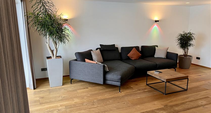 A modern living room with a gray sofa and a coffee table. There are two large plants in decorative pots and gentle lighting on the wall.