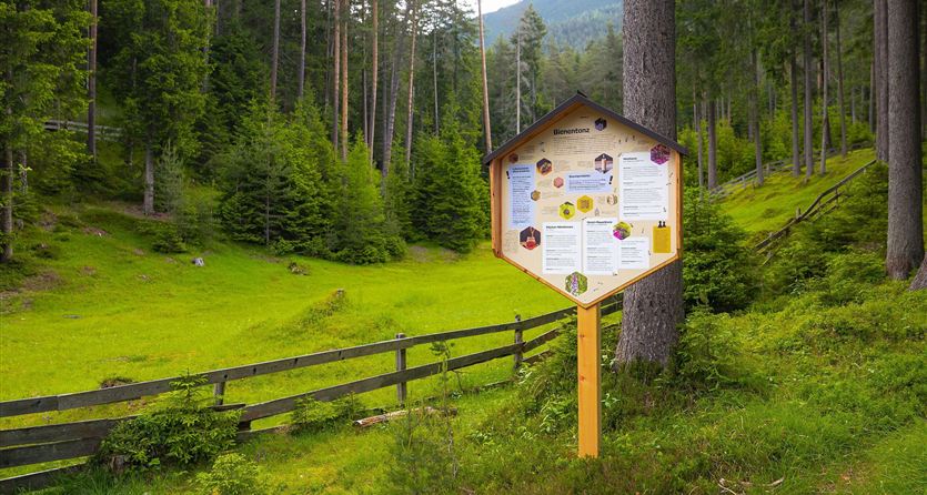 Ein Informationsschild steht in einer grünen Wiese, umgeben von dichten Bäumen. Im Hintergrund sieht man sanfte Hügel und einen klaren Himmel.