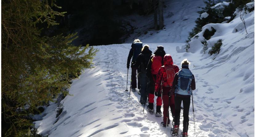A group of hikers is walking on a snow-covered path. The surroundings are surrounded by trees, and sunlight is shining on the scene.
