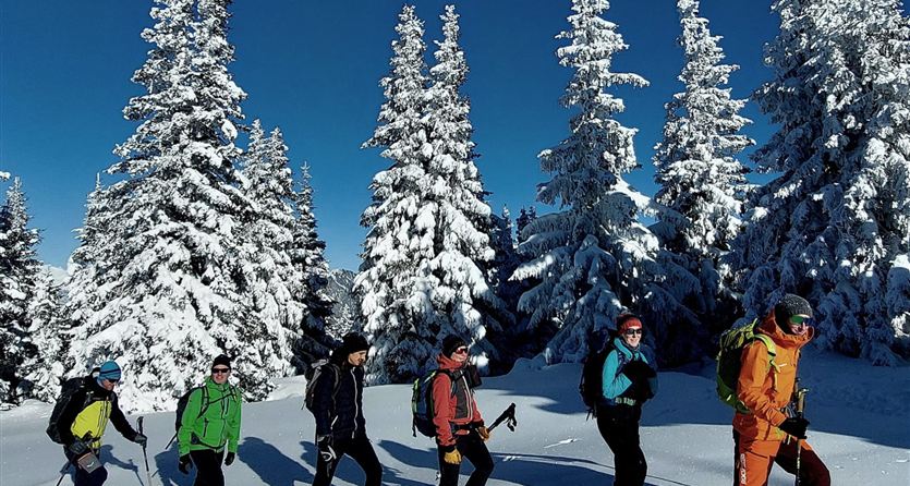 A group of people is hiking through a snowy landscape. Tall, snow-covered trees surround them under a clear blue sky.