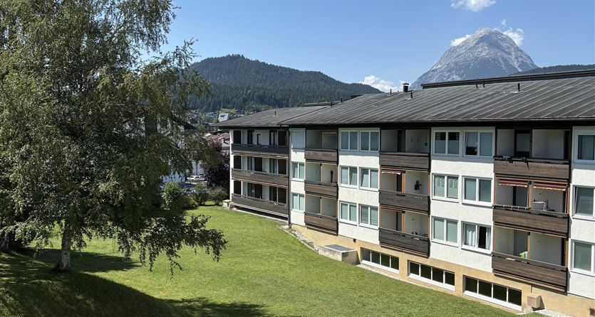 A large meadow with a tree and a residential building in the background. In the background, mountains and a blue sky can be seen.