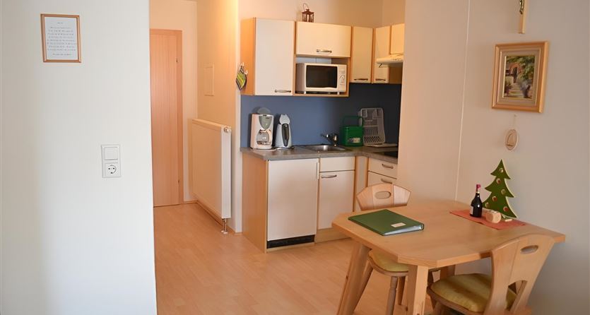 apartment with balcony, combined living/bed room, shower/WC