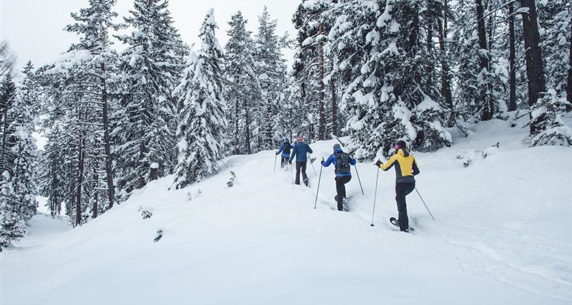 Schneeschuhwandern in der Olympiaregion Seefeld 1