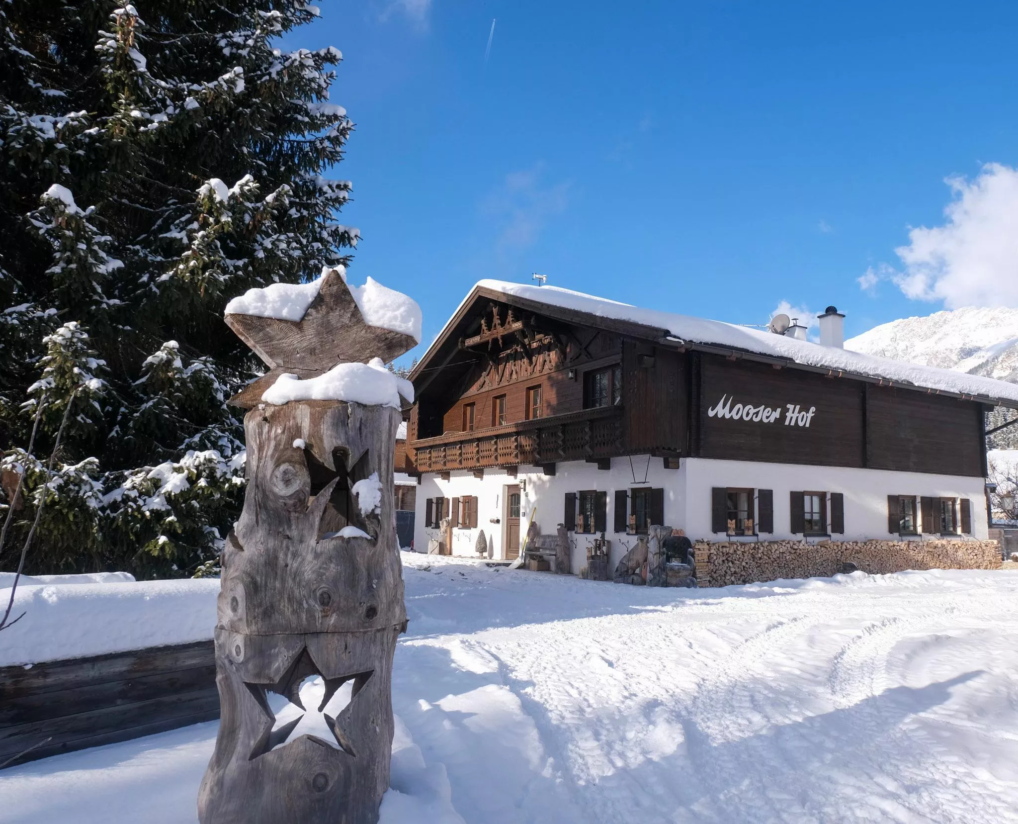 Mooserhof - für Hunde mit ihren Menschen