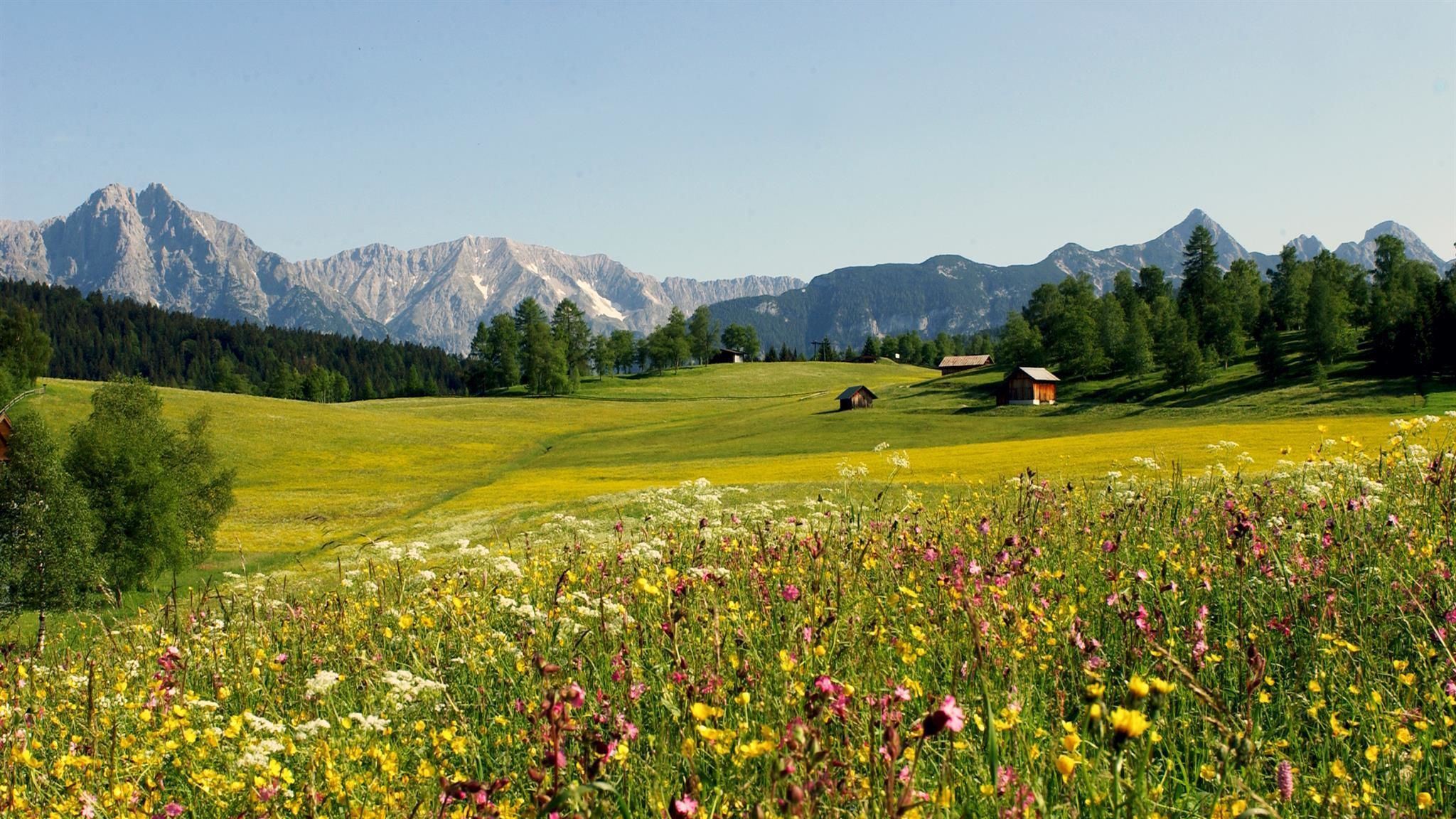 Biketour Nr. 5070 Neuleutasch-Wildmoos