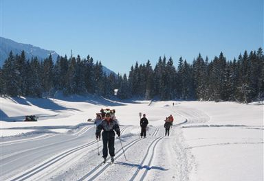 Cross-country skiers on the trail