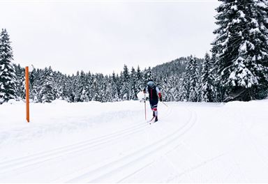 Cross-country skiing on the Torfstich trail