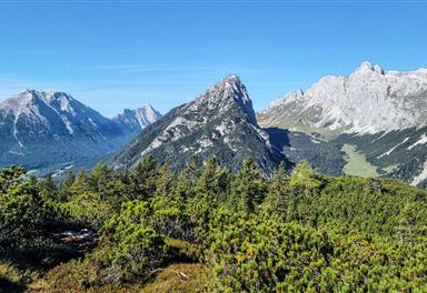 Ascent to the Arnplattenspitze