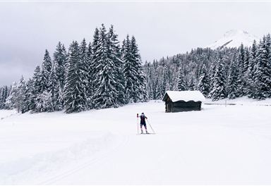 Cross-country skiing at Wildmoos