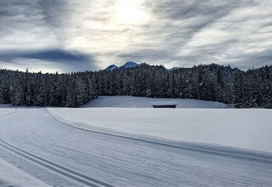 B4 cross-country ski trail in Leutasch