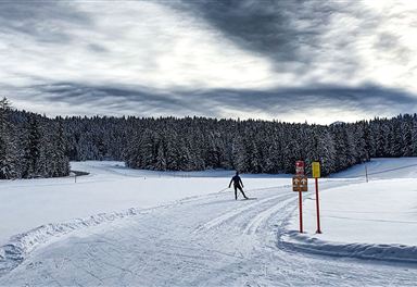 Trailhead Skatingzentrum Leutasch